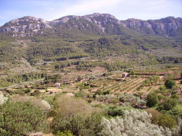 Ca Les Barberes Landhuis Paúls